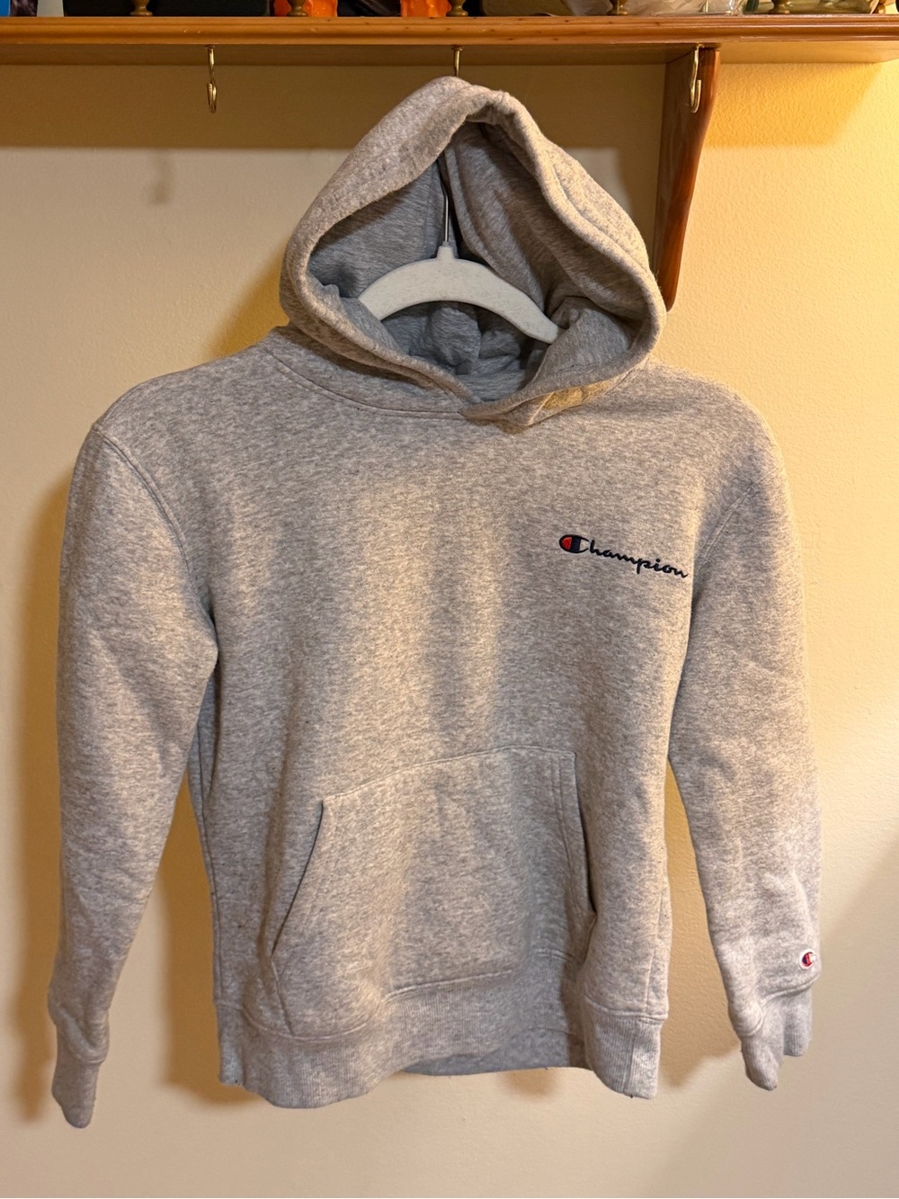 Champion Kid’s Gray Hoodie Sweatshirt